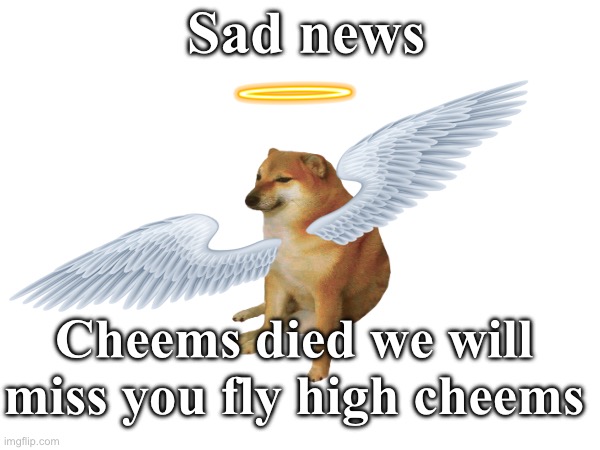 Sad news; Cheems died we will miss you fly high cheems | made w/ Imgflip meme maker