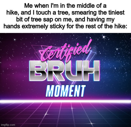 Tree sap is easily the most annoying thing in all of nature .-. | Me when I'm in the middle of a hike, and I touch a tree, smearing the tiniest bit of tree sap on me, and having my hands extremely sticky for the rest of the hike: | image tagged in certified bruh moment | made w/ Imgflip meme maker