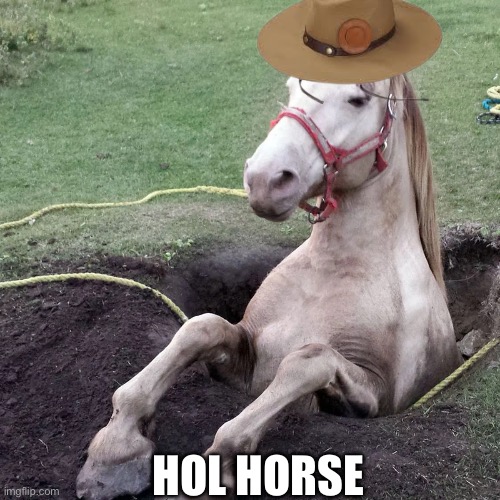 Joojoooooooo | HOL HORSE | image tagged in jojo's bizarre adventure,jojo,jojo meme | made w/ Imgflip meme maker