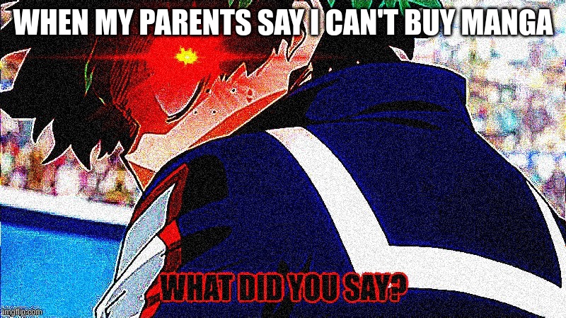Problems with manga | WHEN MY PARENTS SAY I CAN'T BUY MANGA | image tagged in deku what you say extreme | made w/ Imgflip meme maker