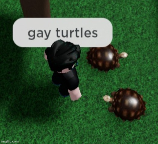 I havent been banned for this | image tagged in roblox,item asylum | made w/ Imgflip meme maker