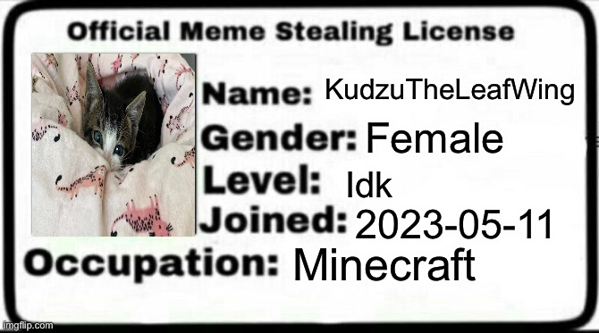 I wonder if this makes it legal for me to repost | KudzuTheLeafWing; Female; Idk; 2023-05-11; Minecraft | image tagged in meme stealing license | made w/ Imgflip meme maker