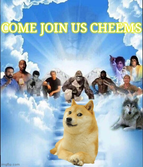 Goodbye Cheems? | COME JOIN US CHEEMS | image tagged in meme heaven,memes,cheems,doge,harambe | made w/ Imgflip meme maker
