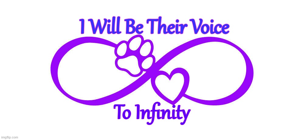 I am their voice | I Will Be Their Voice; To Infinity | image tagged in infinity | made w/ Imgflip meme maker