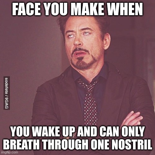 The face You Make When | FACE YOU MAKE WHEN; YOU WAKE UP AND CAN ONLY BREATH THROUGH ONE NOSTRIL | image tagged in the face you make when | made w/ Imgflip meme maker