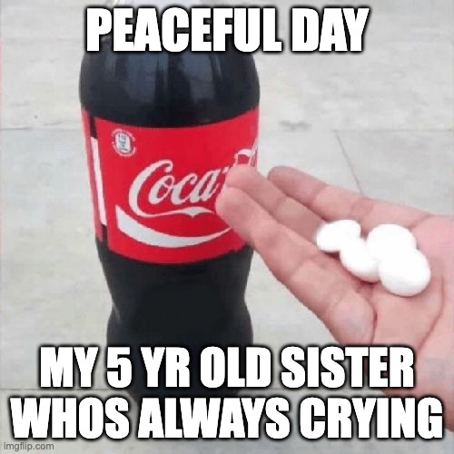 Coke Mentos Hand Meme | PEACEFUL DAY; MY 5 YR OLD SISTER WHOS ALWAYS CRYING | image tagged in coke mentos hand meme | made w/ Imgflip meme maker