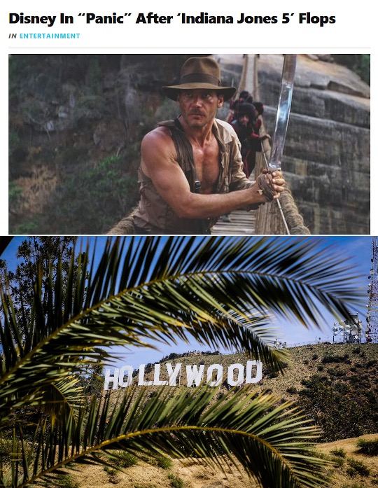 Hollyweird (Hollywood) Blank Meme Template