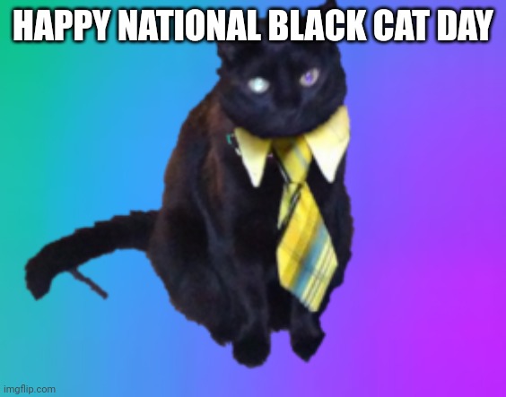 happy national black cat day with my cat | HAPPY NATIONAL BLACK CAT DAY | image tagged in black cat,cats | made w/ Imgflip meme maker