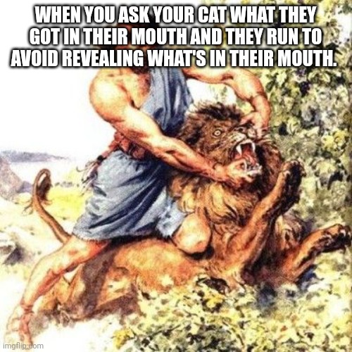 The dog captions are hilarious and all, but this could also apply to cats as well. Mine are sneaky and do this most of the time. | WHEN YOU ASK YOUR CAT WHAT THEY GOT IN THEIR MOUTH AND THEY RUN TO AVOID REVEALING WHAT'S IN THEIR MOUTH. | image tagged in man fights lion | made w/ Imgflip meme maker