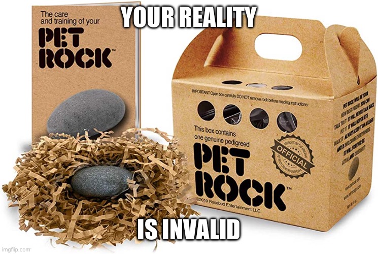 Pet Rock Logic | YOUR REALITY; IS INVALID | image tagged in pet rock | made w/ Imgflip meme maker