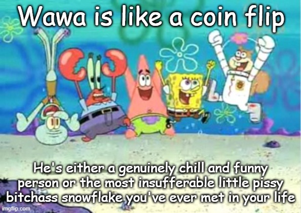 hip hip hooray | Wawa is like a coin flip; He's either a genuinely chill and funny person or the most insufferable little pissy bitchass snowflake you've ever met in your life | image tagged in hip hip hooray | made w/ Imgflip meme maker