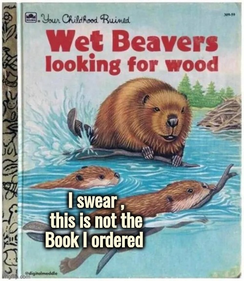 Oh Amazon , you've done it again | I swear , this is not the Book I ordered | image tagged in beavers,well yes but actually no,something's wrong i can feel it,you had one job just the one,delivery,failure | made w/ Imgflip meme maker