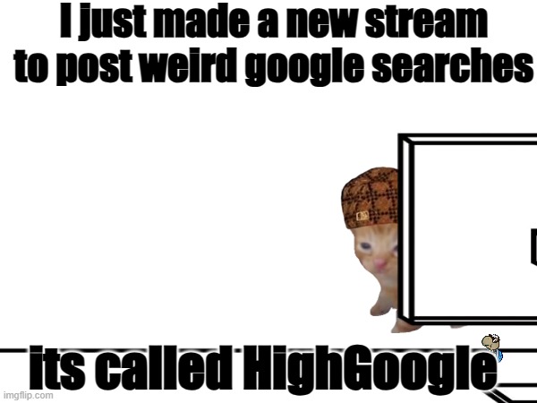 announcement | I just made a new stream to post weird google searches; its called HighGoogle | image tagged in cat,computer | made w/ Imgflip meme maker