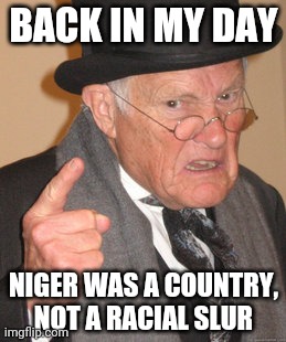 Another meme the size of one from the 2010's | BACK IN MY DAY; NIGER WAS A COUNTRY, NOT A RACIAL SLUR | image tagged in memes,back in my day | made w/ Imgflip meme maker