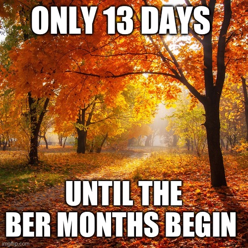 Only 13 days until the Ber months begin | ONLY 13 DAYS; UNTIL THE BER MONTHS BEGIN | image tagged in autumn leaves | made w/ Imgflip meme maker