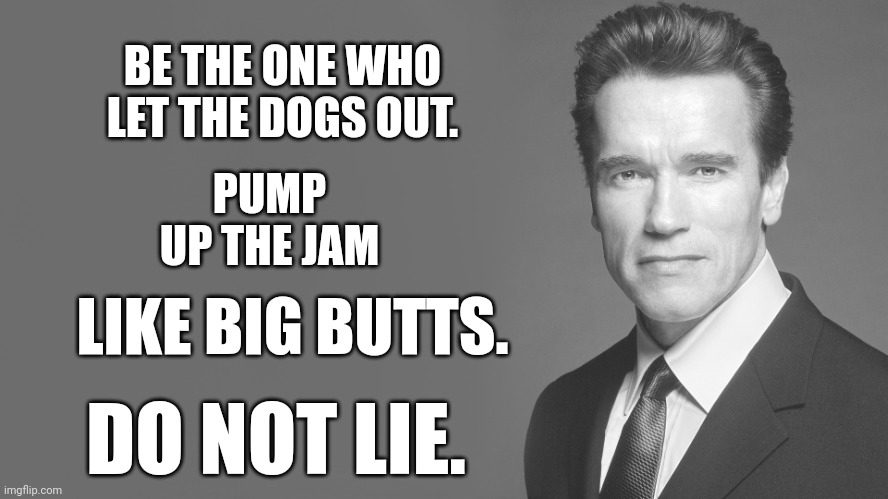 Advice from Arnold Schwarzenegger | PUMP UP THE JAM; BE THE ONE WHO LET THE DOGS OUT. LIKE BIG BUTTS. DO NOT LIE. | image tagged in advice from arnold schwarzenegger | made w/ Imgflip meme maker