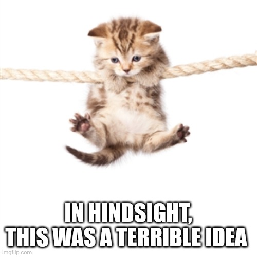 Hang in there kitty  | IN HINDSIGHT,
THIS WAS A TERRIBLE IDEA | image tagged in hang in there kitty | made w/ Imgflip meme maker