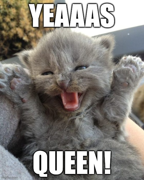 Yay Kitty | YEAAAS; QUEEN! | image tagged in yay kitty | made w/ Imgflip meme maker