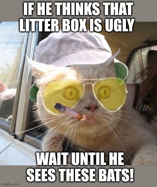 fear and loathing kitty | IF HE THINKS THAT LITTER BOX IS UGLY; WAIT UNTIL HE SEES THESE BATS! | image tagged in fear and loathing kitty | made w/ Imgflip meme maker