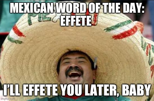Effete | MEXICAN WORD OF THE DAY:
EFFETE; I’LL EFFETE YOU LATER, BABY | image tagged in mexican word of the day | made w/ Imgflip meme maker