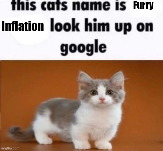 . | Furry; Inflation | image tagged in this cats name is x look him up on google | made w/ Imgflip meme maker