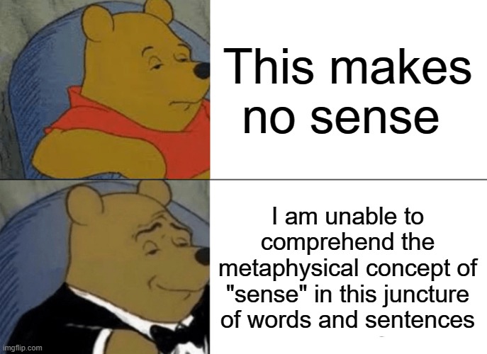 Tuxedo Winnie The Pooh | This makes no sense; I am unable to comprehend the metaphysical concept of "sense" in this juncture of words and sentences | image tagged in memes,tuxedo winnie the pooh | made w/ Imgflip meme maker