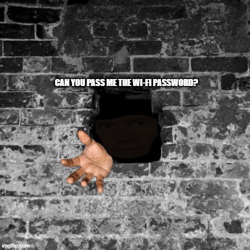 Wi-fi meme | CAN YOU PASS ME THE WI-FI PASSWORD? | image tagged in memes,funny memes | made w/ Imgflip meme maker