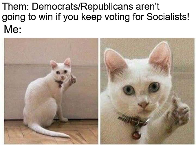 cat thumbs up | Them: Democrats/Republicans aren't going to win if you keep voting for Socialists! Me: | image tagged in cat thumbs up,voting,socialist,socialists,green party | made w/ Imgflip meme maker