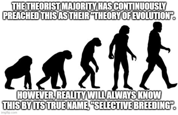 evolution of man | THE THEORIST MAJORITY HAS CONTINUOUSLY PREACHED THIS AS THEIR "THEORY OF EVOLUTION". HOWEVER, REALITY WILL ALWAYS KNOW THIS BY ITS TRUE NAME, "SELECTIVE BREEDING". | image tagged in evolution of man | made w/ Imgflip meme maker