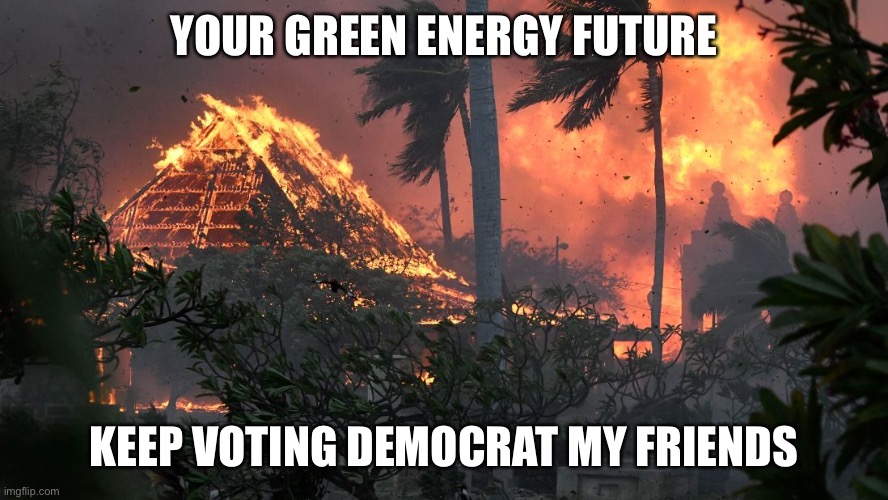 They keep screwing you and you keep voting them back into office. | YOUR GREEN ENERGY FUTURE; KEEP VOTING DEMOCRAT MY FRIENDS | image tagged in wildfires,hawaii,politics,stupid liberals,libtards | made w/ Imgflip meme maker