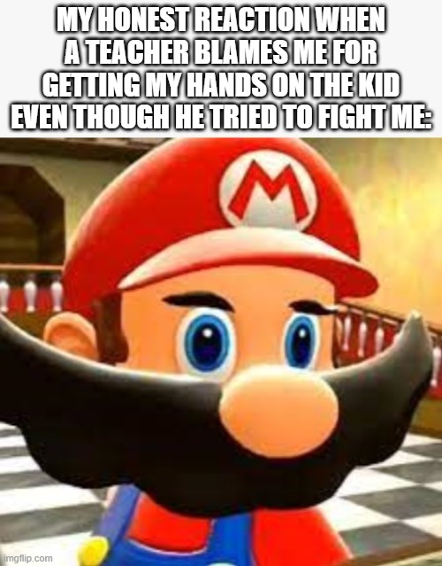 I was just tryna have a good time my guy. | MY HONEST REACTION WHEN A TEACHER BLAMES ME FOR GETTING MY HANDS ON THE KID EVEN THOUGH HE TRIED TO FIGHT ME: | image tagged in school memes,school,mario,bruh moment | made w/ Imgflip meme maker