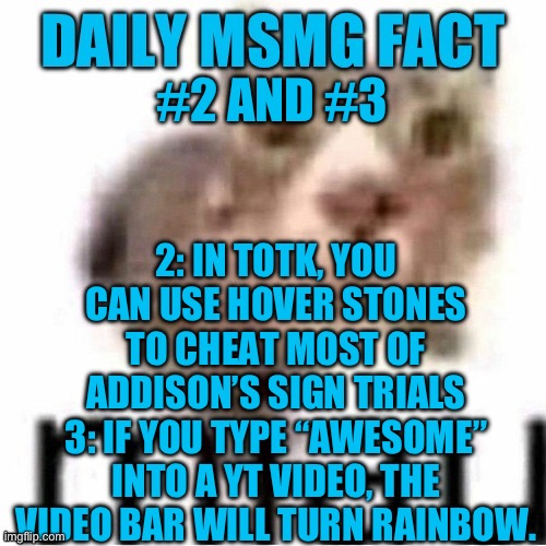 Sorry for missing it | 2: IN TOTK, YOU CAN USE HOVER STONES TO CHEAT MOST OF ADDISON’S SIGN TRIALS
3: IF YOU TYPE “AWESOME” INTO A YT VIDEO, THE VIDEO BAR WILL TURN RAINBOW. #2 AND #3 | image tagged in daily msmg fact | made w/ Imgflip meme maker