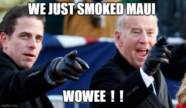 WE JUST SMOKED MAUI; WOWEE  !  ! | made w/ Imgflip meme maker
