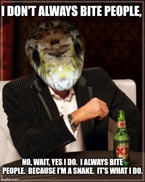 Most bitey snake in the world | I DON'T ALWAYS BITE PEOPLE, NO, WAIT, YES I DO.  I ALWAYS BITE PEOPLE.  BECAUSE I'M A SNAKE.  IT'S WHAT I DO. | image tagged in the most interesting man in the world,snakes,bite,people,funny memes | made w/ Imgflip meme maker