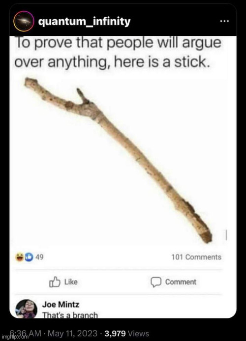 Its a twig | image tagged in stick,repost,branch,funny,argue | made w/ Imgflip meme maker