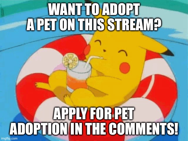Prices are 24.99 each in robux | WANT TO ADOPT A PET ON THIS STREAM? APPLY FOR PET ADOPTION IN THE COMMENTS! | image tagged in pool pikachu,pets | made w/ Imgflip meme maker