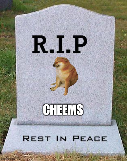 RIP headstone | CHEEMS | image tagged in rip headstone | made w/ Imgflip meme maker