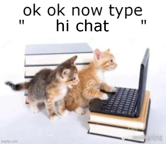 now type | hi chat | image tagged in now type | made w/ Imgflip meme maker