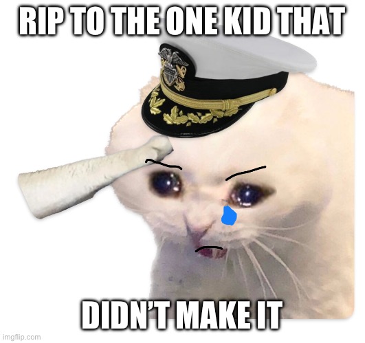 Saluting Navy Cat | RIP TO THE ONE KID THAT DIDN’T MAKE IT | image tagged in saluting navy cat | made w/ Imgflip meme maker