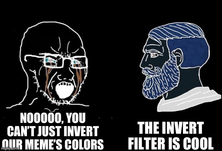 Who else likes the invert filter | THE INVERT FILTER IS COOL; NOOOOO, YOU CAN’T JUST INVERT OUR MEME’S COLORS | image tagged in soyboy vs yes chad,wojak,colors | made w/ Imgflip meme maker