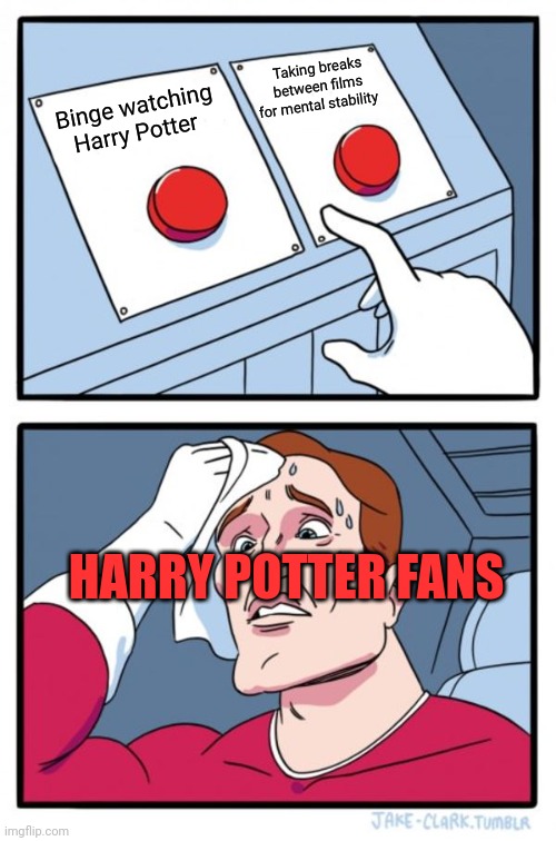 Two Buttons Meme | Taking breaks between films for mental stability; Binge watching Harry Potter; HARRY POTTER FANS | image tagged in memes,two buttons | made w/ Imgflip meme maker