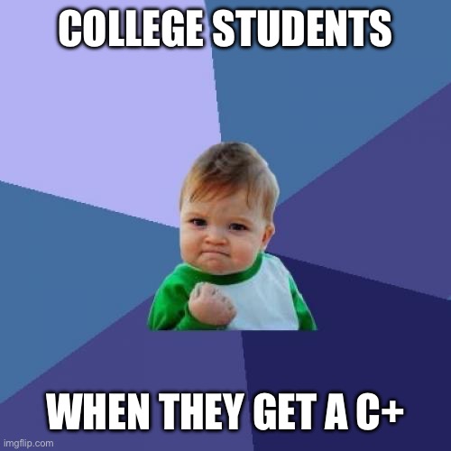 Success Kid Meme | COLLEGE STUDENTS WHEN THEY GET A C+ | image tagged in memes,success kid | made w/ Imgflip meme maker