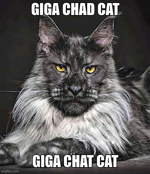 GIGA CHAD CAT; GIGA CHAT CAT | made w/ Imgflip meme maker