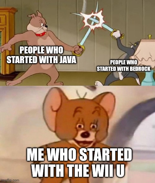 Tom and Jerry swordfight | PEOPLE WHO STARTED WITH JAVA; PEOPLE WHO STARTED WITH BEDROCK; ME WHO STARTED WITH THE WII U | image tagged in tom and jerry swordfight | made w/ Imgflip meme maker
