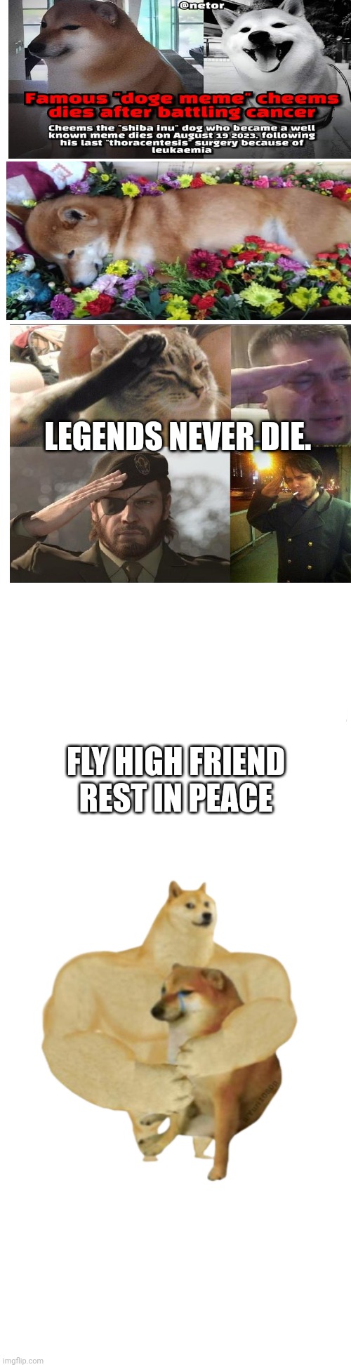 rest in peace friend | LEGENDS NEVER DIE. FLY HIGH FRIEND



REST IN PEACE | image tagged in long blank white,sad,doge,peace,fyp | made w/ Imgflip meme maker