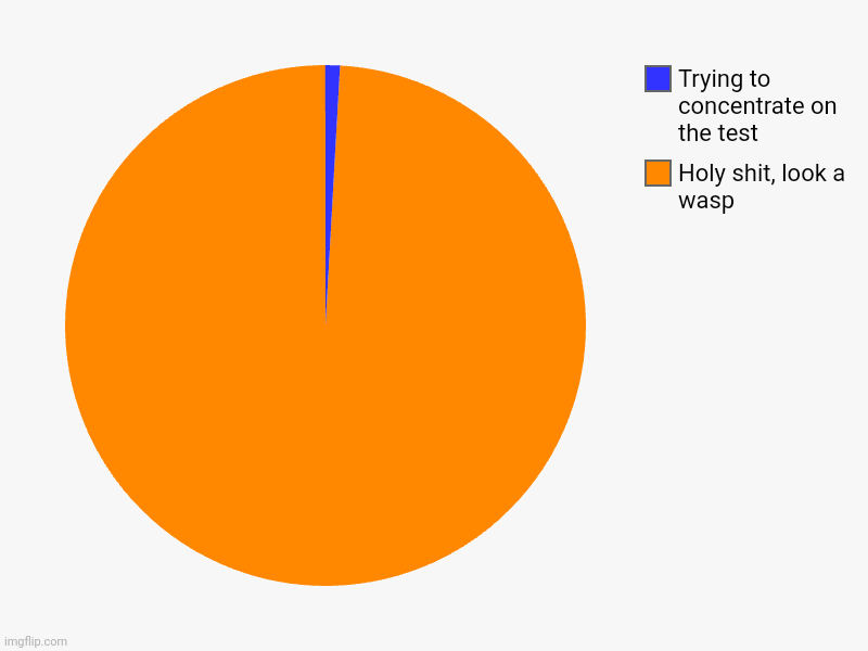 Holy shit, look a wasp, Trying to concentrate on the test | image tagged in charts,pie charts | made w/ Imgflip chart maker
