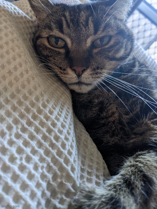 She is no longer as eepy | made w/ Imgflip meme maker