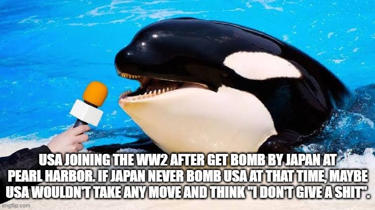 fact of WW2 | USA JOINING THE WW2 AFTER GET BOMB BY JAPAN AT PEARL HARBOR. IF JAPAN NEVER BOMB USA AT THAT TIME, MAYBE USA WOULDN'T TAKE ANY MOVE AND THINK "I DON'T GIVE A SHIT". | image tagged in orca talking into a microphone | made w/ Imgflip meme maker