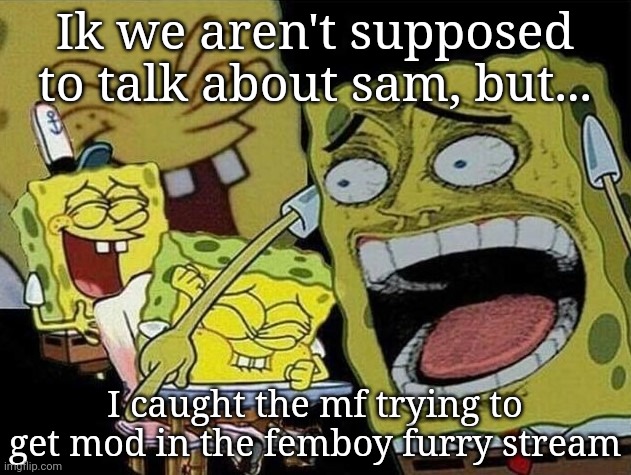 BAHAHAHAHAHAHAHAHAHAHA | Ik we aren't supposed to talk about sam, but... I caught the mf trying to get mod in the femboy furry stream | image tagged in spongebob laughing hysterically | made w/ Imgflip meme maker