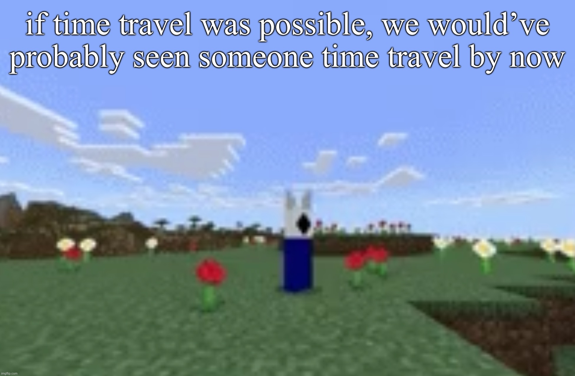 swssgsahadessdwdmMienHSJWNCWRAFFTFDDRTRD | if time travel was possible, we would’ve probably seen someone time travel by now | image tagged in swssgsahadessdwdmmienhsjwncwrafftfddrtrd | made w/ Imgflip meme maker